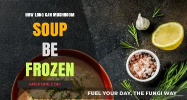 Freezing Mushroom Soup: Optimal Storage Time and Tips for Freshness