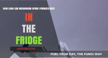 Storing Mushroom Spore Syringes: Fridge Lifespan and Best Practices