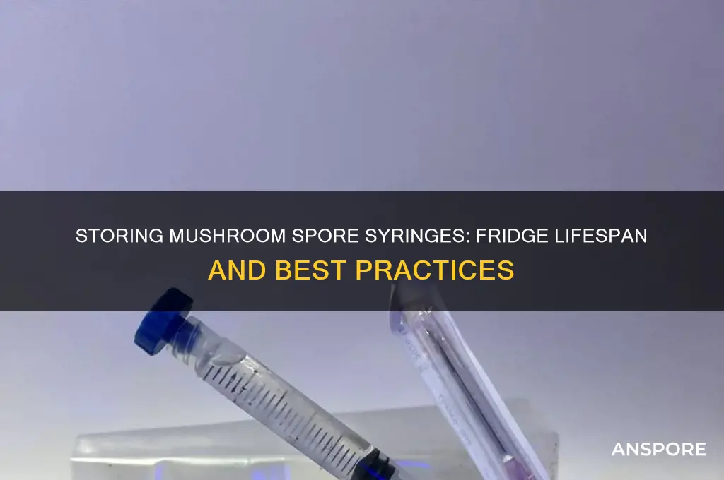 how long can mushroom spore syringes keep in the fridge