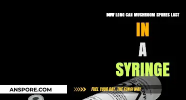 Mushroom Spores in Syringes: Lifespan and Storage Tips