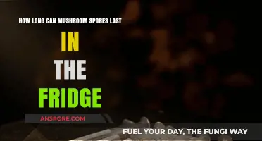 Extending Mushroom Shelf Life: How Long Do Spores Survive in the Fridge?