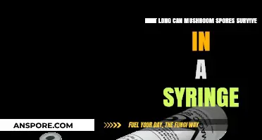 Mushroom Spores in Syringes: Survival Duration and Storage Tips