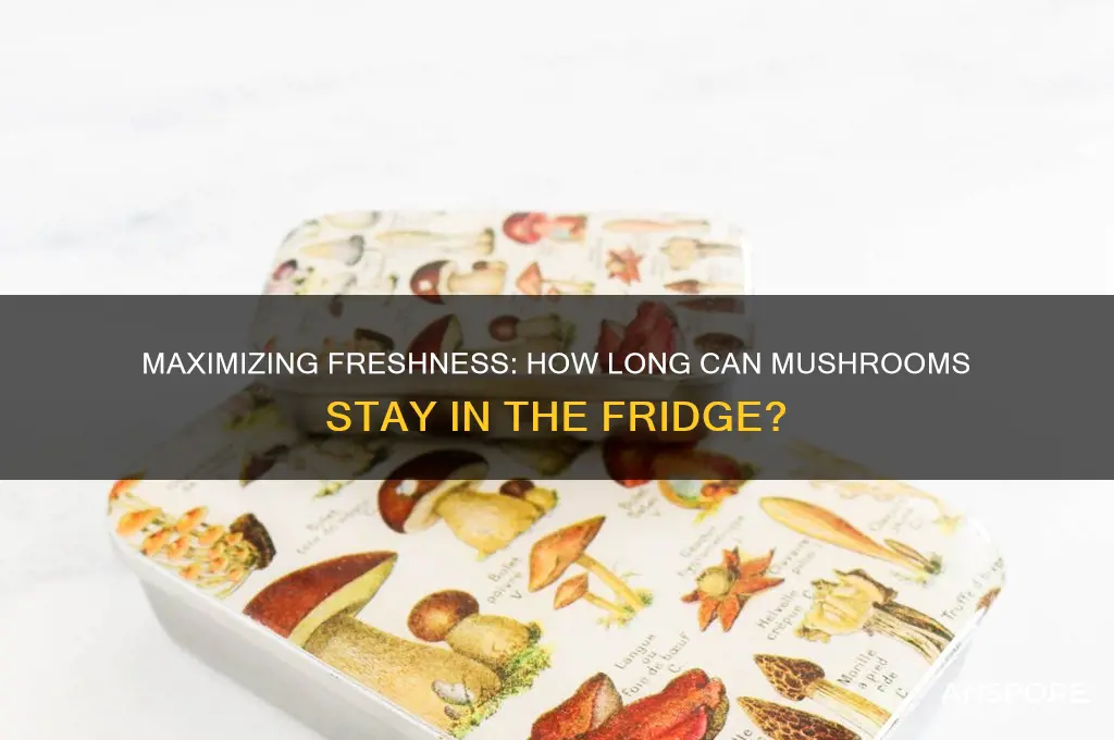 how long can mushroom stay in frgidge