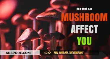 Mushroom Effects Duration: How Long Do They Impact Your Body?