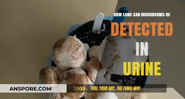 Detecting Mushrooms in Urine: Duration and Testing Insights