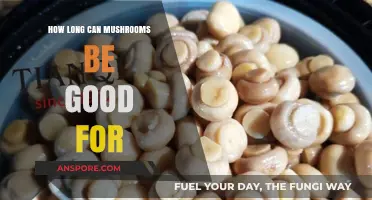 Shelf Life Secrets: How Long Do Mushrooms Stay Fresh and Safe?