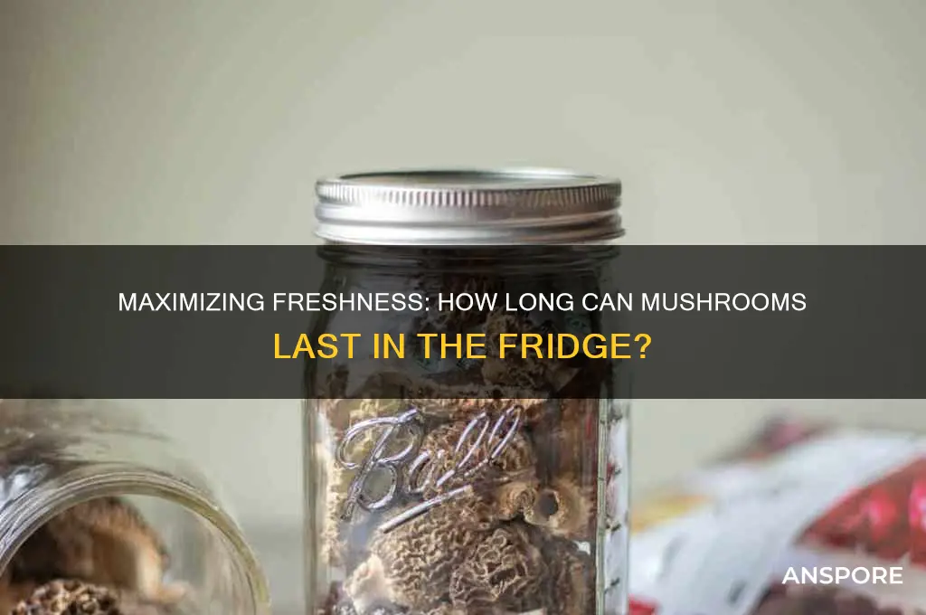 how long can mushrooms be in frisge