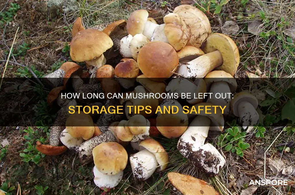 how long can mushrooms be left out