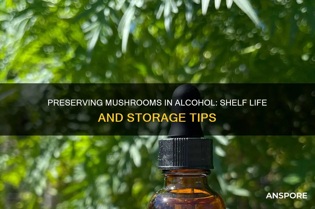 how long can mushrooms in alcohol last