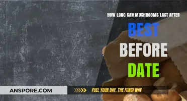 Mushroom Shelf Life: How Long After Best Before Date Are They Safe?