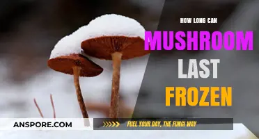 Maximizing Mushroom Freshness: How Long Can Mushrooms Last Frozen?