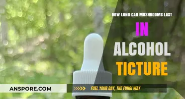 Preserving Mushrooms in Alcohol: Shelf Life of Tinctures Explained