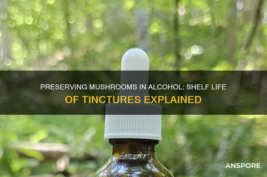 how long can mushrooms last in alcohol ticture
