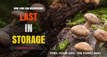 Maximizing Mushroom Freshness: Optimal Storage Tips for Extended Shelf Life