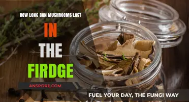 Maximizing Mushroom Freshness: How Long Do They Last in the Fridge?