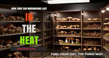 Mushrooms in Heat: Shelf Life and Storage Tips for Freshness