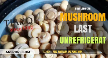 Unrefrigerated Mushrooms: Shelf Life and Freshness Tips Explained