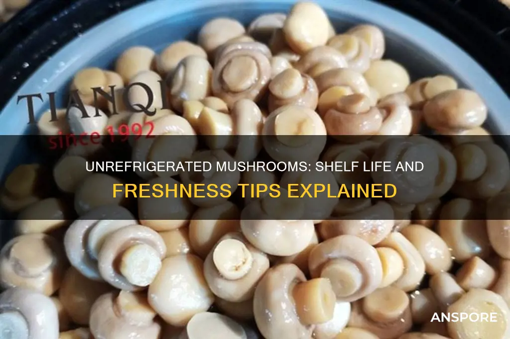 how long can mushrooms last unrefrigerated