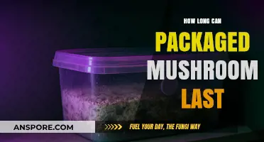 Packaged Mushrooms Shelf Life: How Long Do They Stay Fresh?
