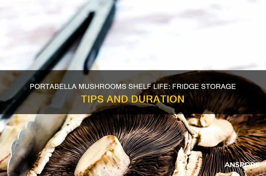 how long can portabella mushrooms last in the fridge