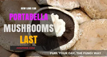 Maximizing Freshness: Portabella Mushrooms' Shelf Life Explained