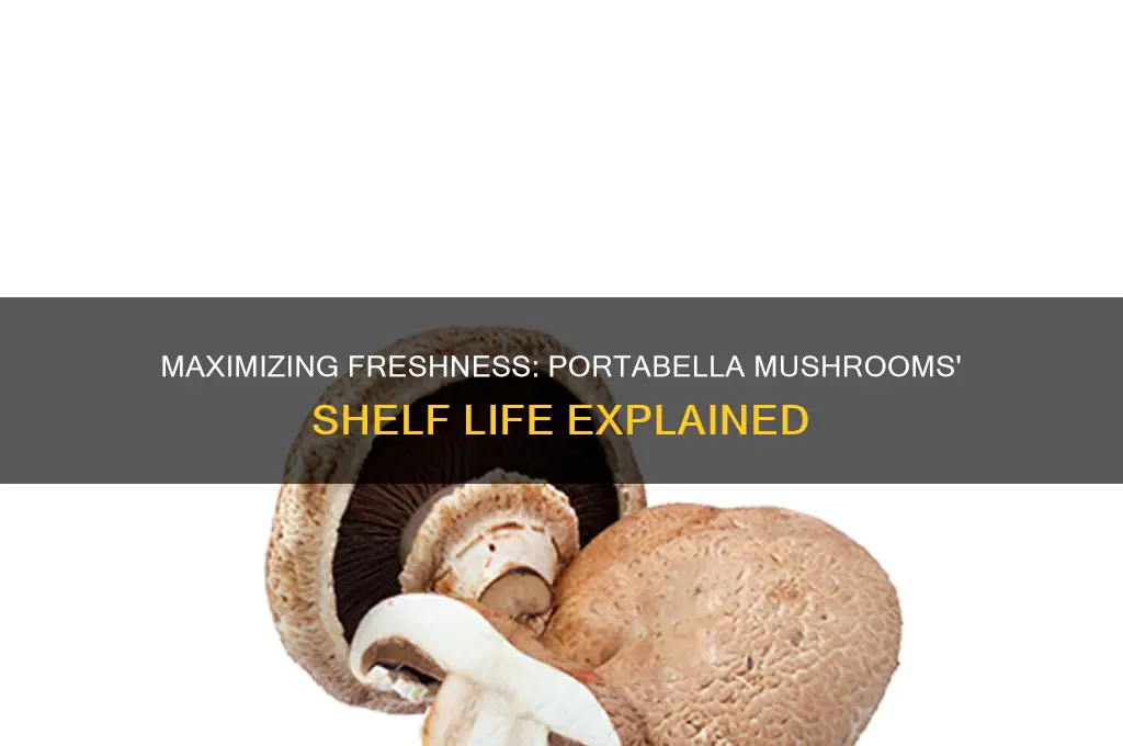 how long can portabella mushrooms last