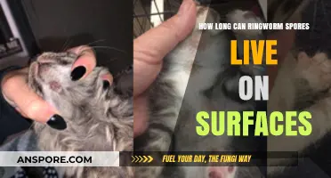 Ringworm Spores Survival: How Long Do They Last on Surfaces?