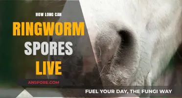 How Long Do Ringworm Spores Survive: A Comprehensive Guide