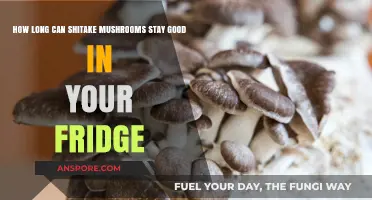 How Long Do Shiitake Mushrooms Stay Fresh in the Fridge?