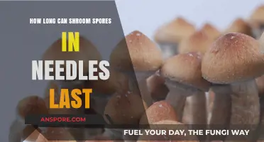 Shroom Spores in Needles: Lifespan and Storage Insights