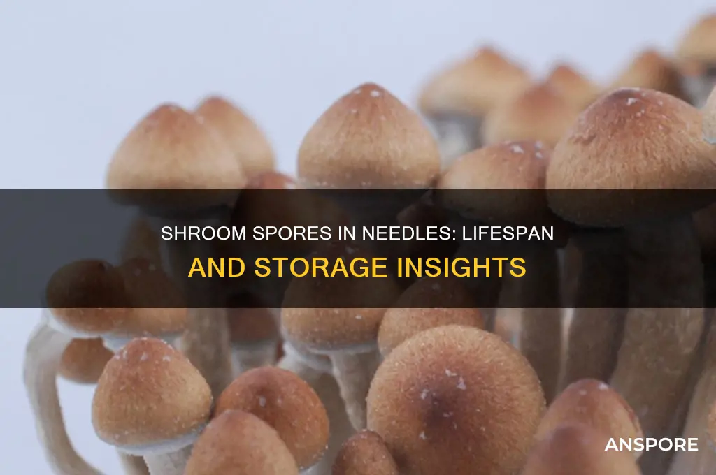 how long can shroom spores in needles last