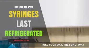 Refrigerated Spore Syringe Shelf Life: Maximizing Longevity and Viability