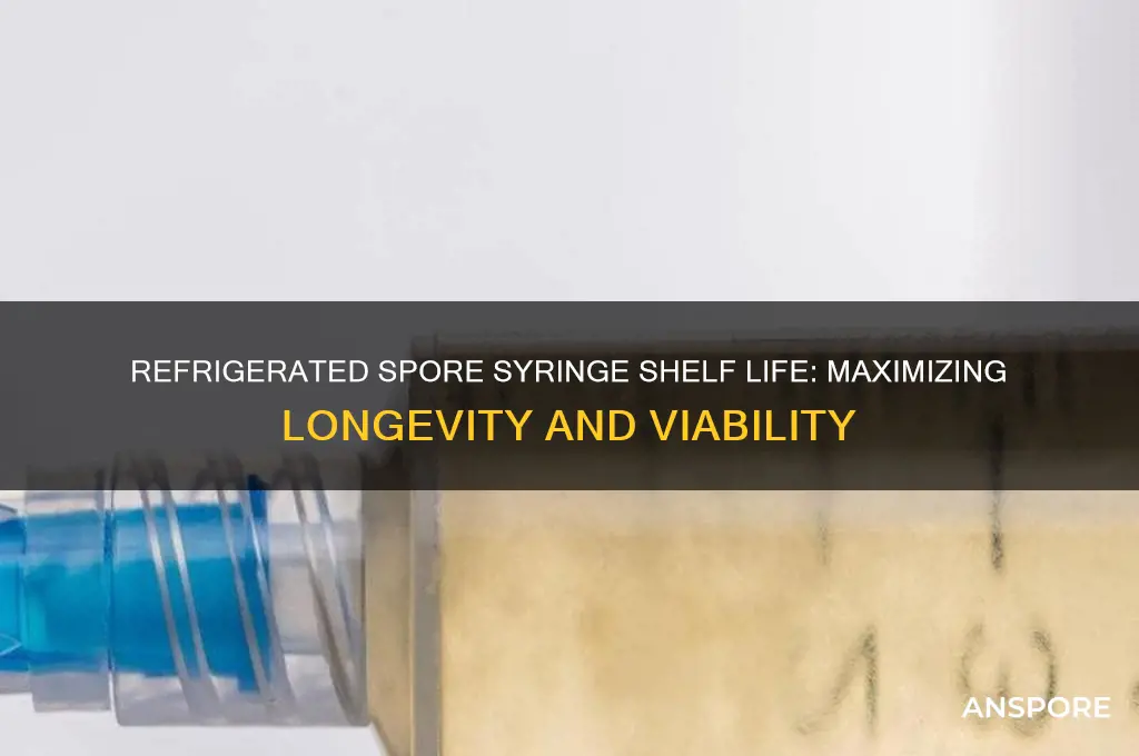 how long can spore syringes last refrigerated