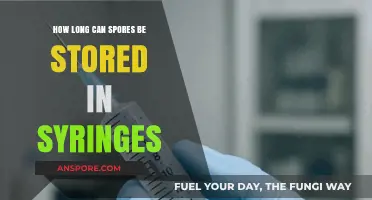 Storing Spores in Syringes: Longevity and Preservation Techniques Explained