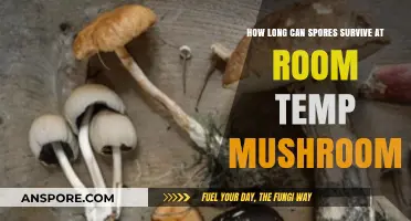 Mushroom Spores' Room Temperature Survival: Unveiling Their Remarkable Longevity