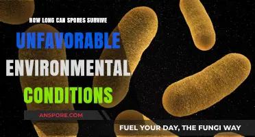 Spores' Resilience: Unraveling Survival Secrets in Harsh Environments