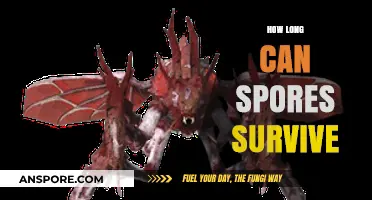 Unbelievable Lifespan: How Long Can Spores Survive in Extreme Conditions?