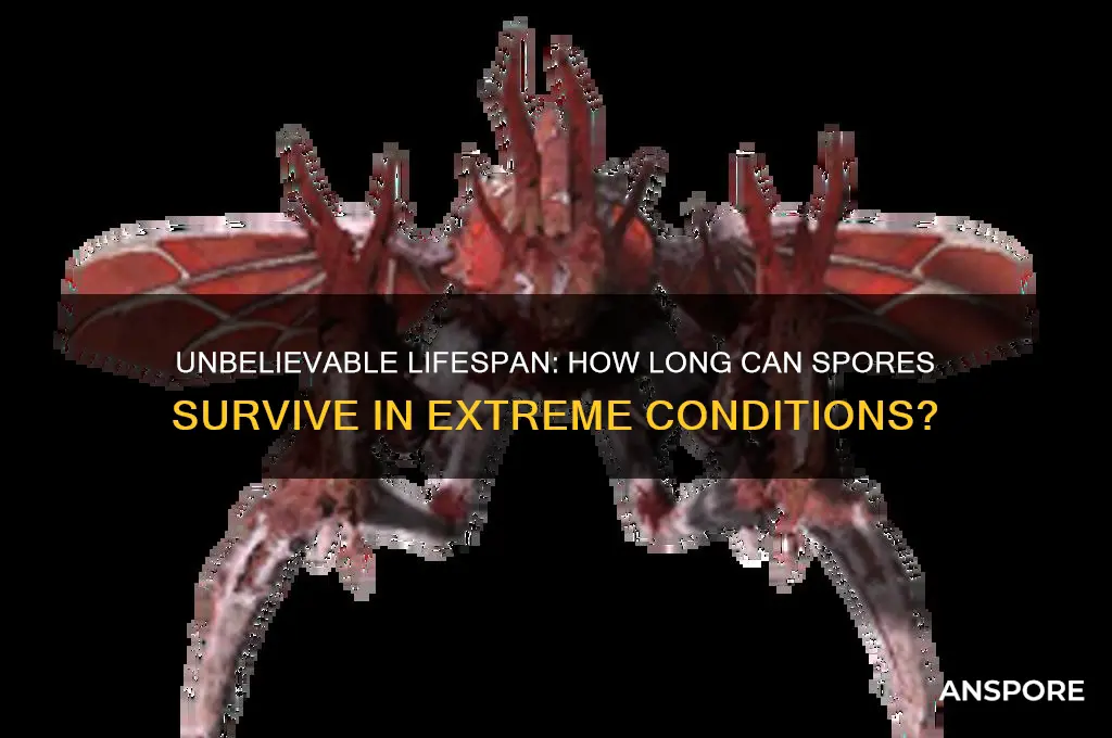 how long can spores survive