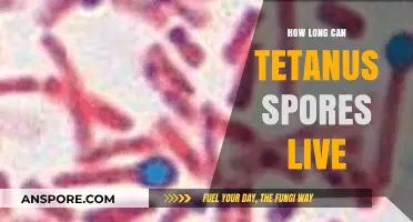 Tetanus Spores Survival: Understanding Their Longevity and Risks