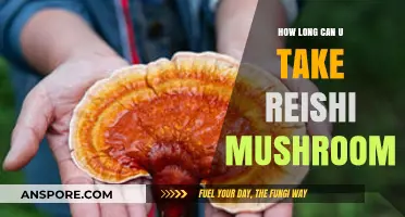 Reishi Mushroom Duration: Safe Long-Term Use and Benefits Explained