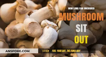 Uncooked Mushrooms: Safe Storage Time and Shelf Life Explained