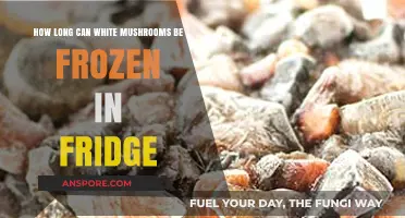 Freezing White Mushrooms: Optimal Storage Time in Your Fridge Explained