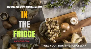 White Mushrooms Shelf Life: How Long Do They Last in the Fridge?