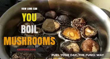 Boiling Mushrooms: Optimal Cooking Time for Perfect Texture and Flavor