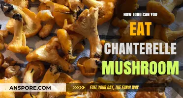 Chanterelle Mushrooms: Shelf Life, Storage Tips, and Freshness Guide