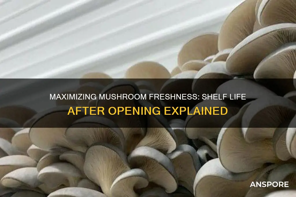 how long can you eat mushrooms after opening