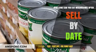 Can You Still Eat Mushrooms After the Sell-By Date?