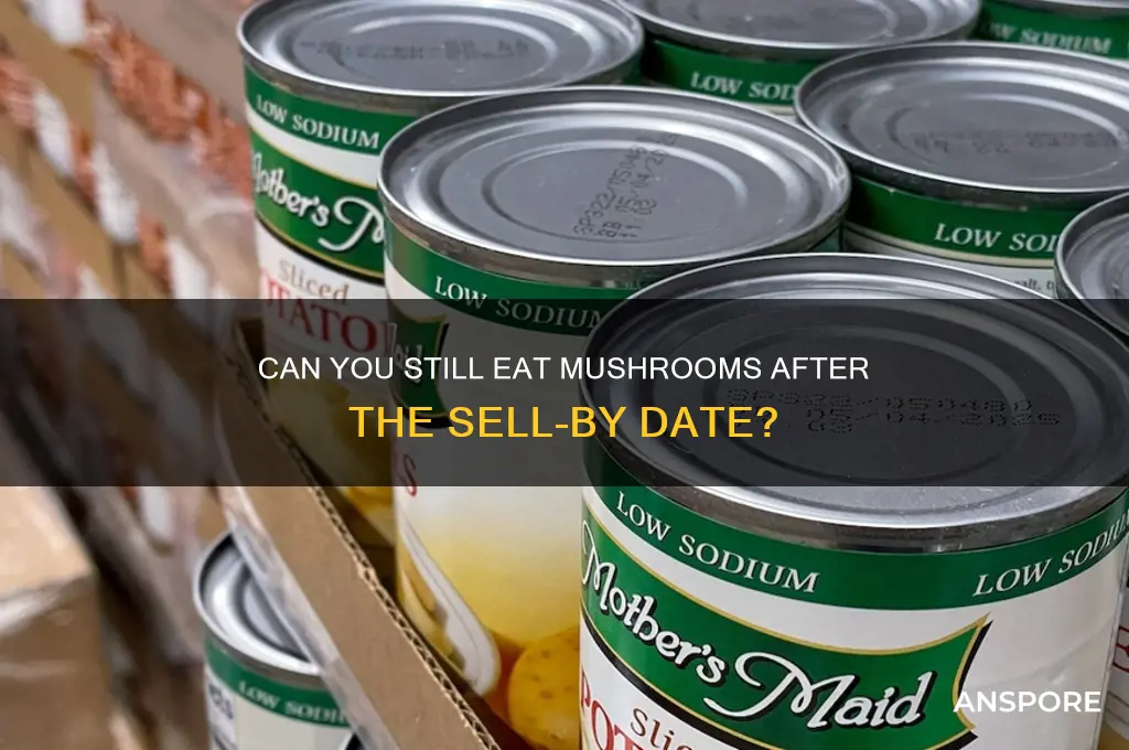 how long can you eat mushrooms after sell by date