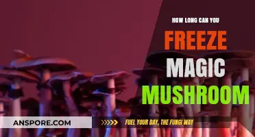 Freezing Magic Mushrooms: Optimal Storage Duration and Preservation Tips