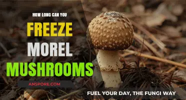 Freezing Morel Mushrooms: Optimal Storage Duration and Preservation Tips